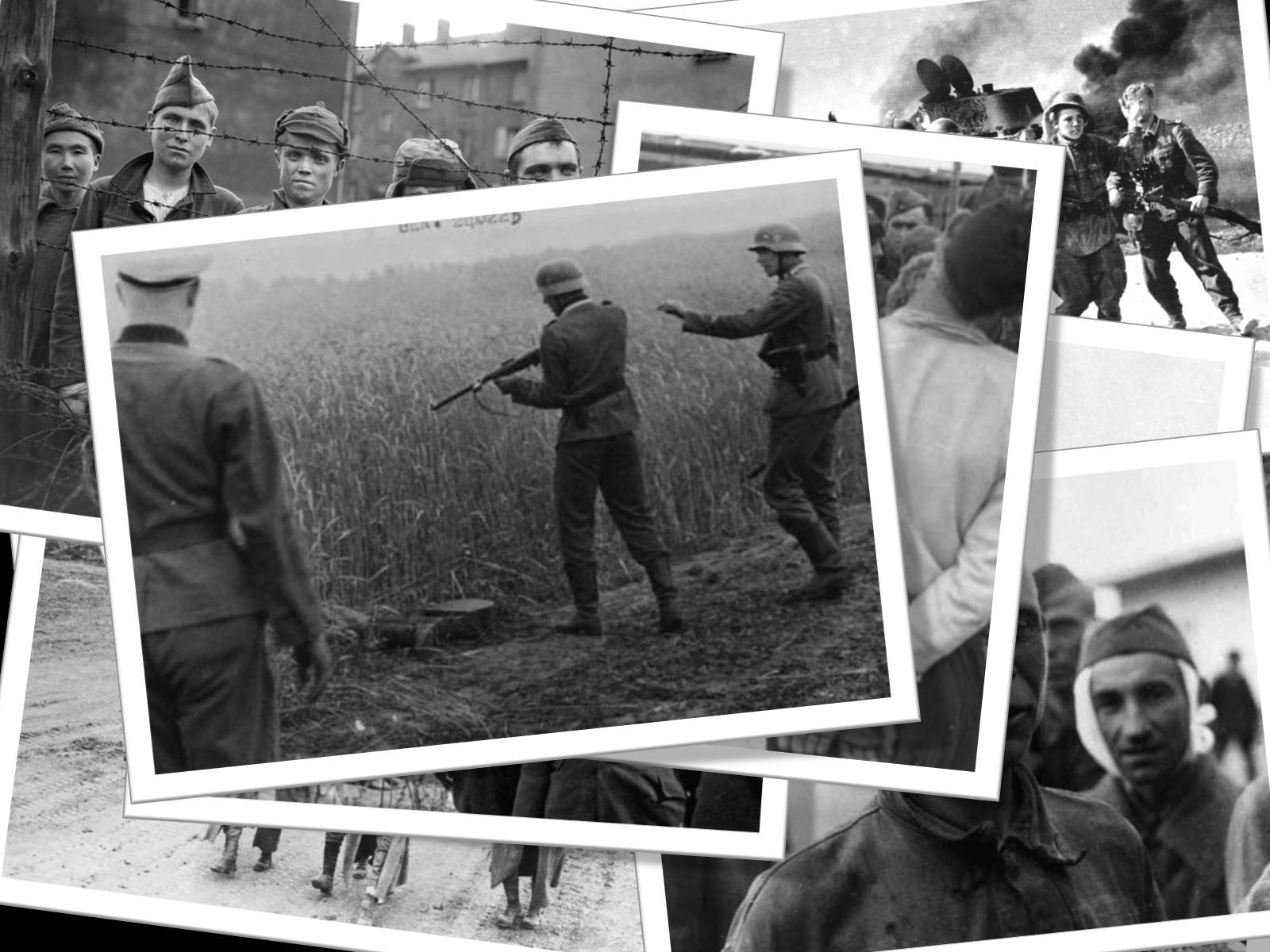 Презентація на тему «Визволення Києва» (варіант 1) - Слайд #7 Презентація на тему «Визволення Києва» (варіант 1) - Слайд #7