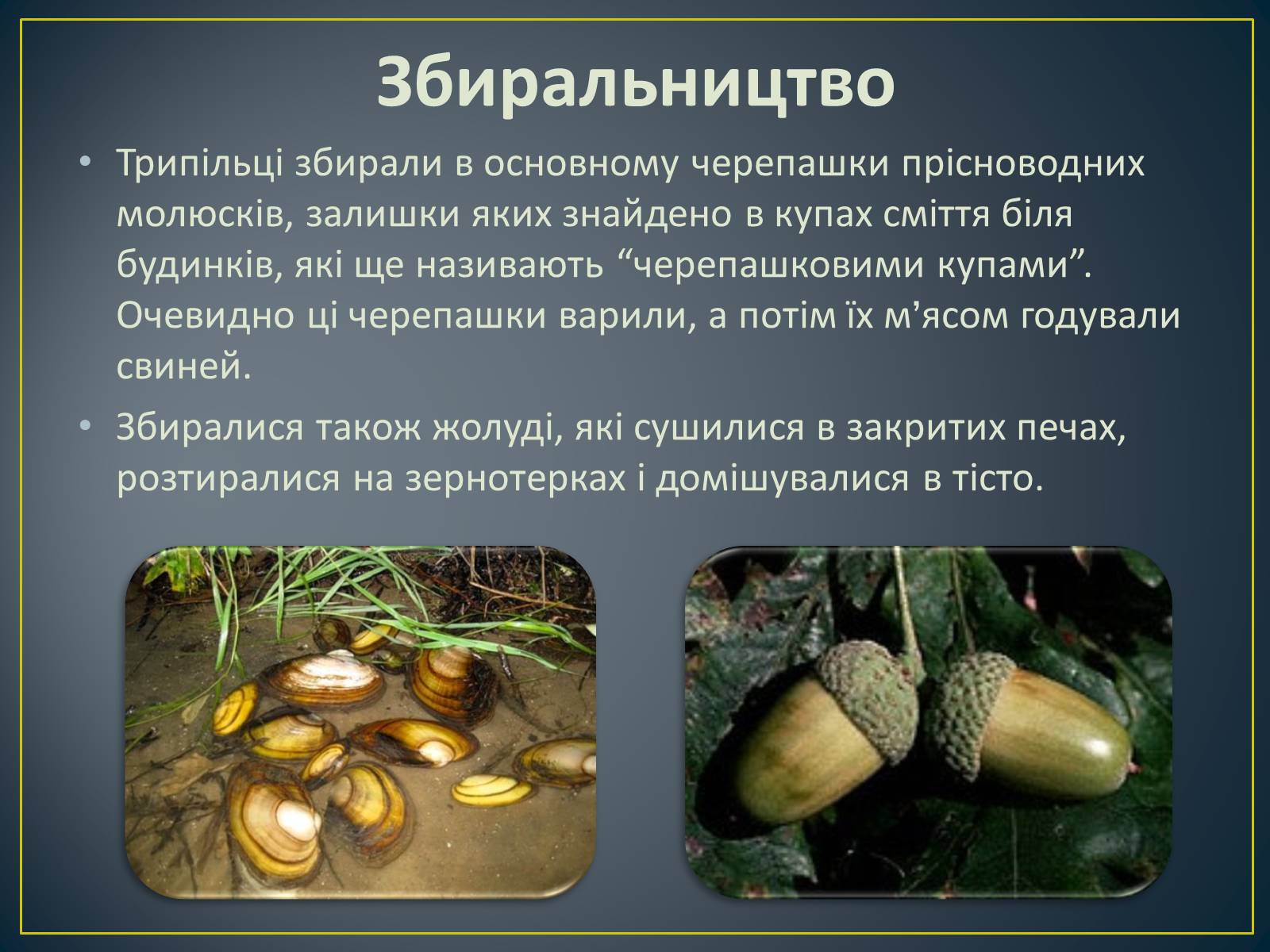 Презентація на тему «Трипільська культура» (варіант 9) - Слайд #5 Презентація на тему «Трипільська культура» (варіант 9) - Слайд #5