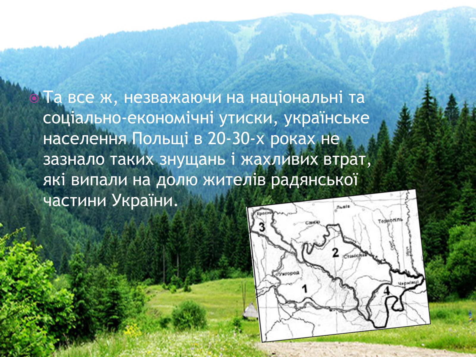 Презентація на тему «Західноукраїнські землі у складі Польщі у 1921-1938рр» - Слайд #10 Презентація на тему «Західноукраїнські землі у складі Польщі у 1921-1938рр» - Слайд #10