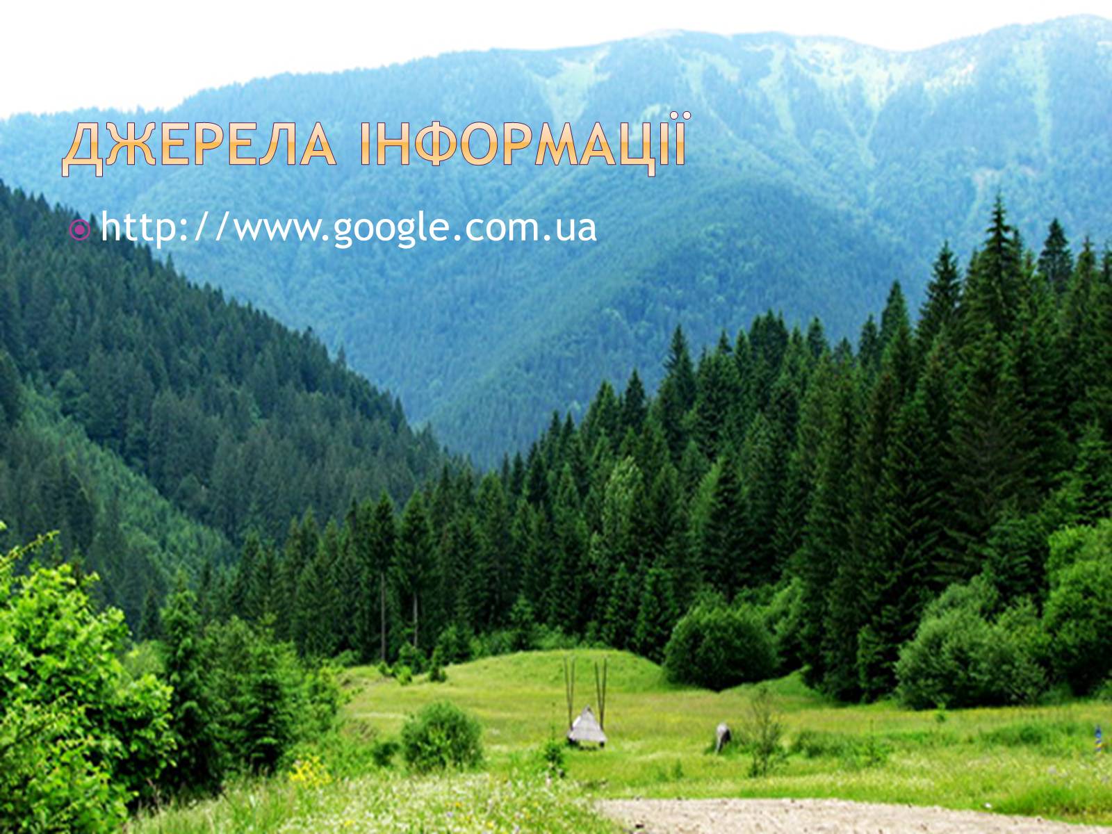 Презентація на тему «Західноукраїнські землі у складі Польщі у 1921-1938рр» - Слайд #11 Презентація на тему «Західноукраїнські землі у складі Польщі у 1921-1938рр» - Слайд #11