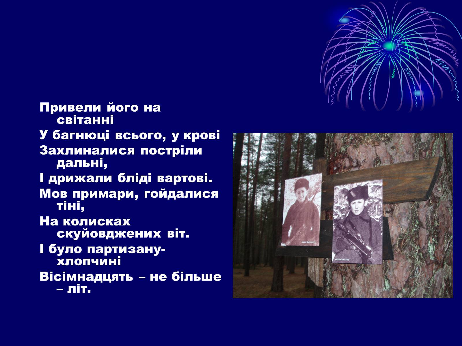Презентація на тему «Партизани» - Слайд #13 Презентація на тему «Партизани» - Слайд #13