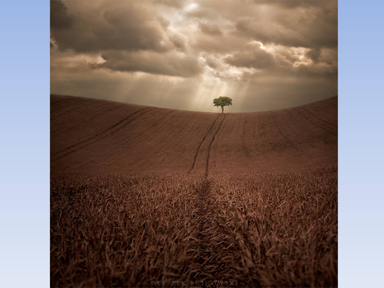Презентація на тему «Photoartist Leszek Buzhnovski» - Слайд #11 Презентація на тему «Photoartist Leszek Buzhnovski» - Слайд #11