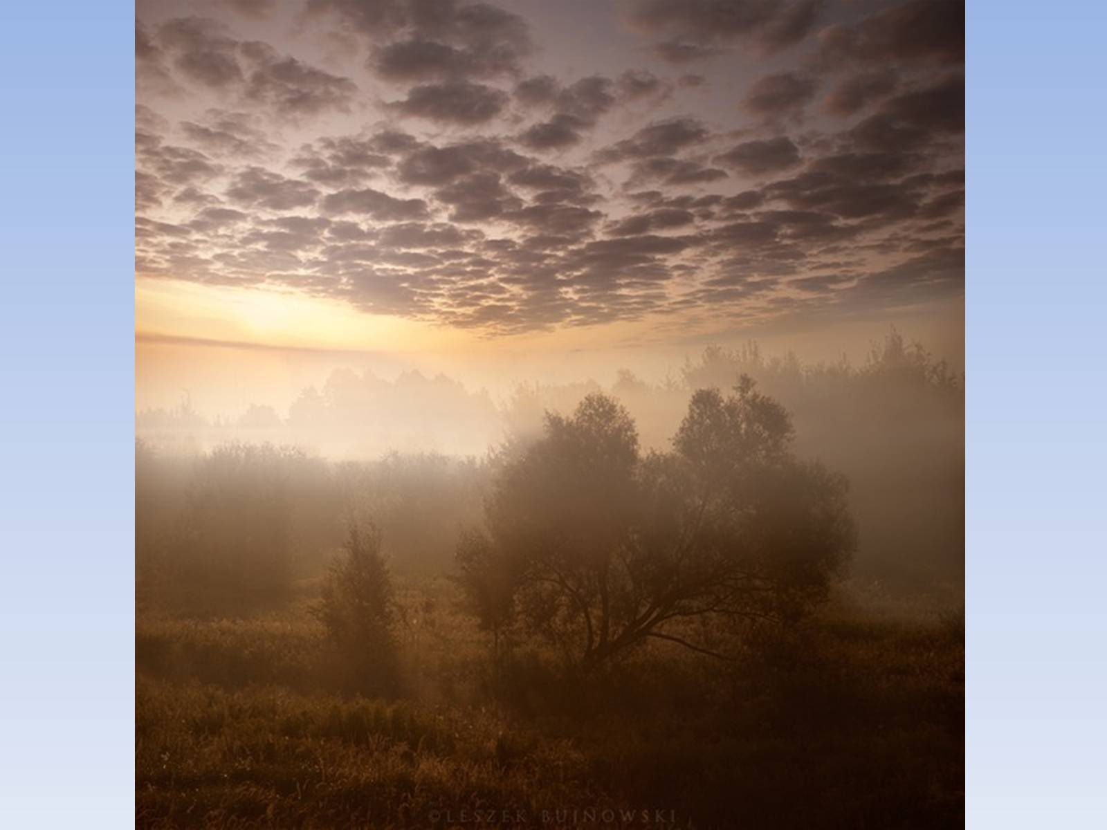 Презентація на тему «Photoartist Leszek Buzhnovski» - Слайд #12 Презентація на тему «Photoartist Leszek Buzhnovski» - Слайд #12