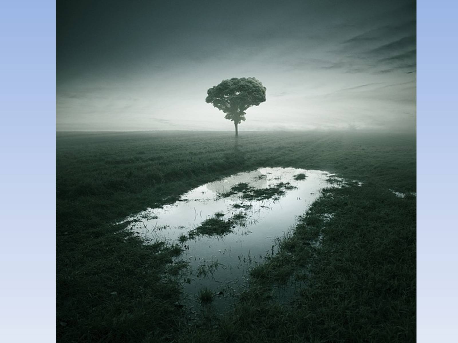 Презентація на тему «Photoartist Leszek Buzhnovski» - Слайд #14 Презентація на тему «Photoartist Leszek Buzhnovski» - Слайд #14