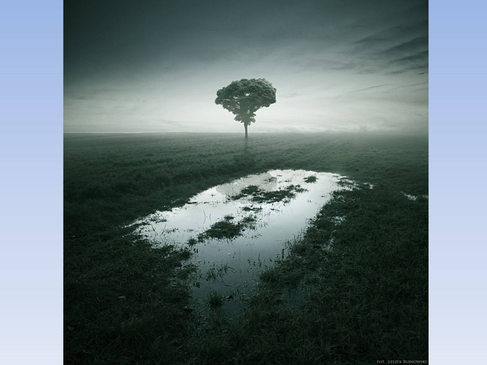Презентація на тему «Photoartist Leszek Buzhnovski» - Слайд #19 Презентація на тему «Photoartist Leszek Buzhnovski» - Слайд #19