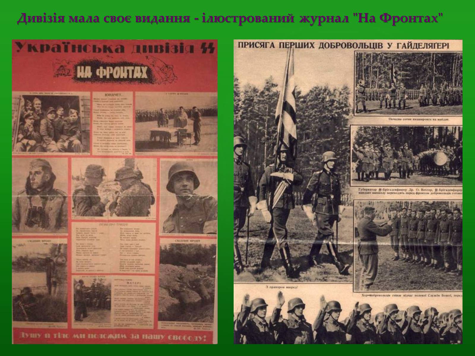 Презентація на тему «Історія дивізії СС Галичина» - Слайд #24 Презентація на тему «Історія дивізії СС Галичина» - Слайд #24