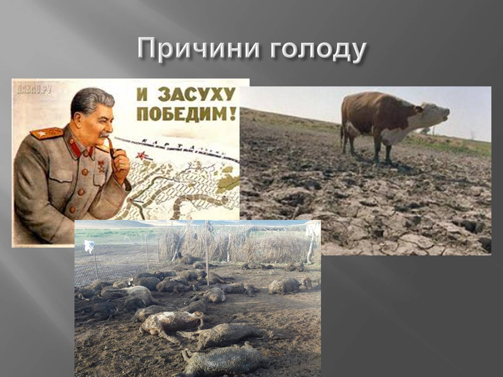 Презентація на тему «Голодомор 1946-1947 років» (варіант 4) - Слайд #3
