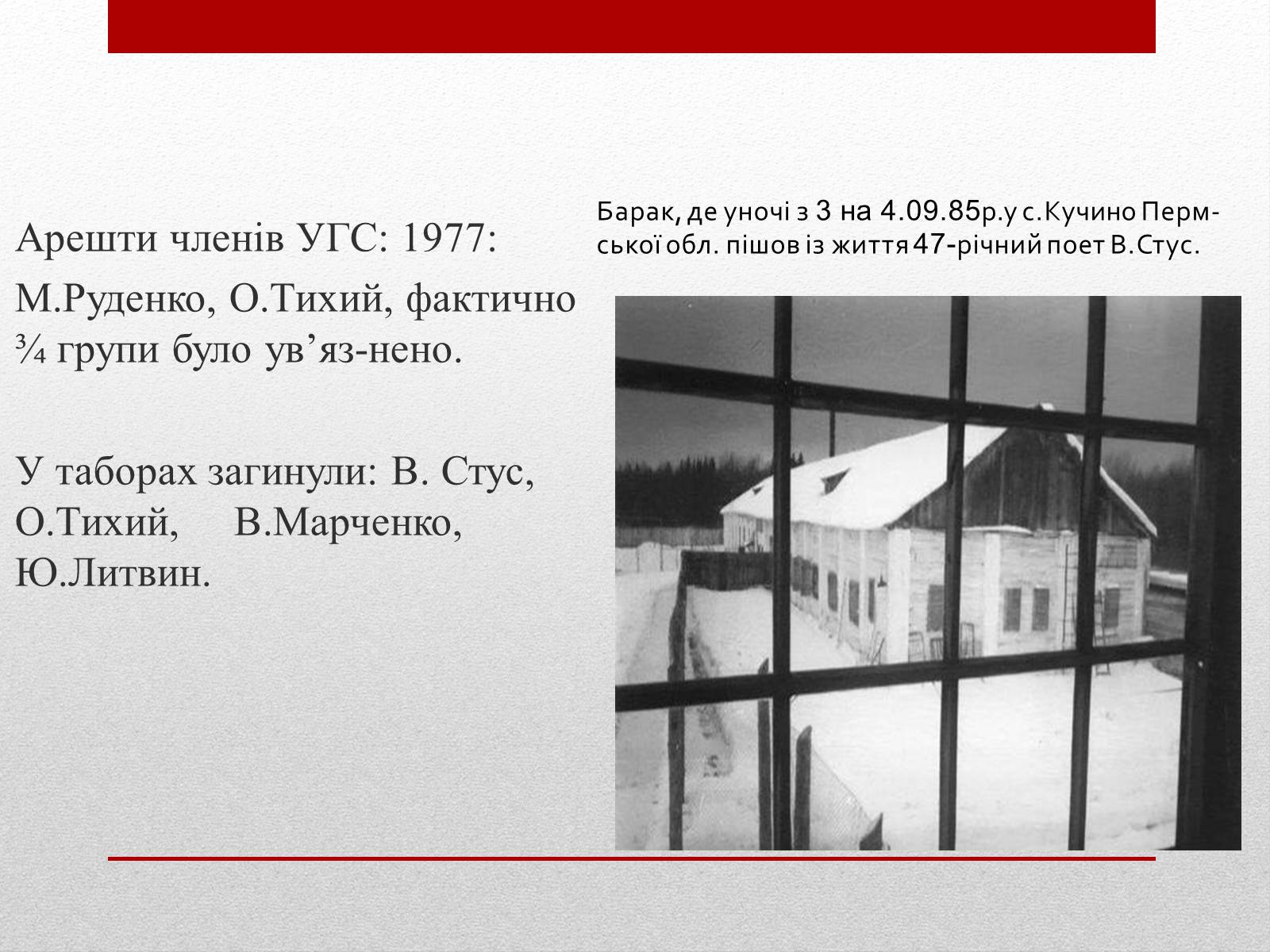 Презентація на тему «Опозиційний рух в Україні» (варіант 1) - Слайд #13 Презентація на тему «Опозиційний рух в Україні» (варіант 1) - Слайд #13