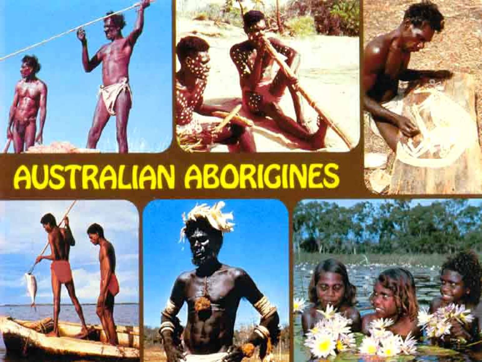 Презентація на тему «Australia is wonderful continent» - Слайд #13 Презентація на тему «Australia is wonderful continent» - Слайд #13