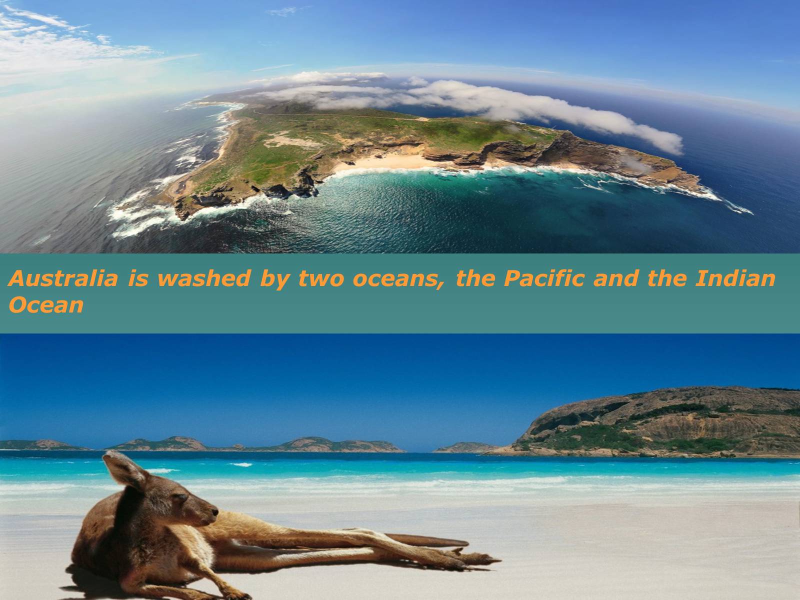 Презентація на тему «Australia is wonderful continent» - Слайд #9 Презентація на тему «Australia is wonderful continent» - Слайд #9