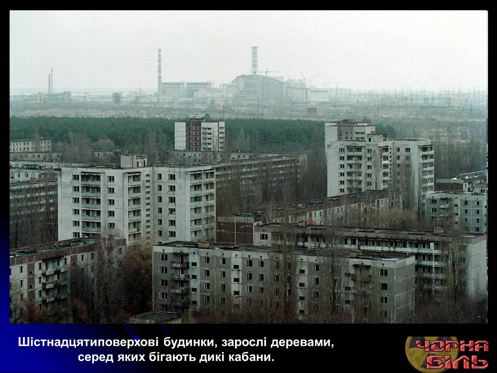 Презентація на тему «Чорнобиль» (варіант 10) - Слайд #33 Презентація на тему «Чорнобиль» (варіант 10) - Слайд #33