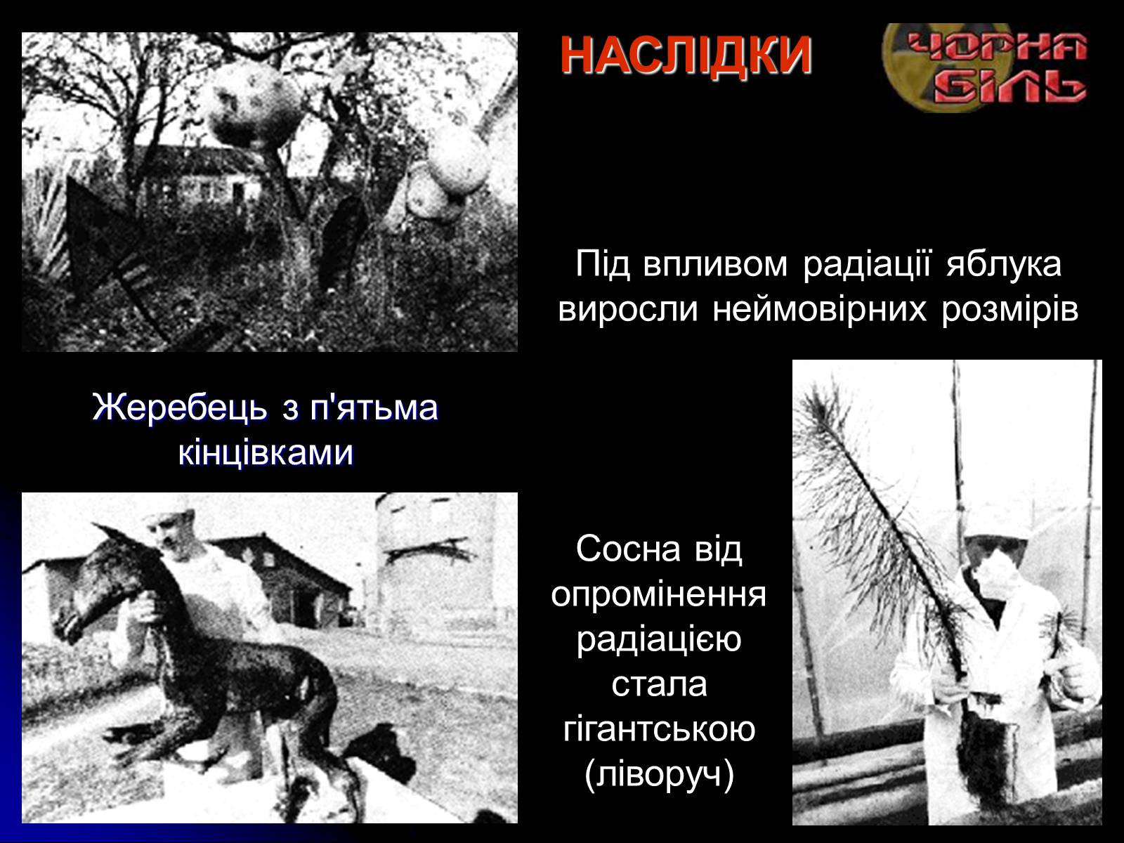 Презентація на тему «Чорнобиль» (варіант 10) - Слайд #49 Презентація на тему «Чорнобиль» (варіант 10) - Слайд #49