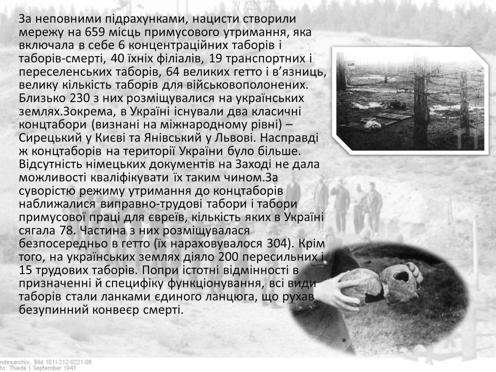 Презентація на тему «Гітлерівський терор на окупованих українських землях» - Слайд #7 Презентація на тему «Гітлерівський терор на окупованих українських землях» - Слайд #7