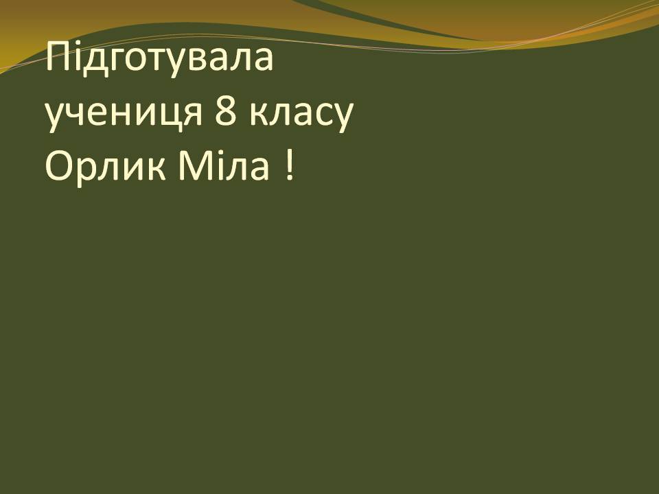Презентація на тему «Запорізька Січ» (варіант 4) - Слайд #20 Презентація на тему «Запорізька Січ» (варіант 4) - Слайд #20