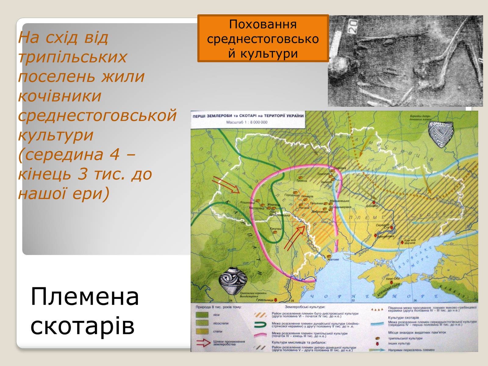 Презентація на тему «Перші землероби і скотарі на території України» - Слайд #24 Презентація на тему «Перші землероби і скотарі на території України» - Слайд #24
