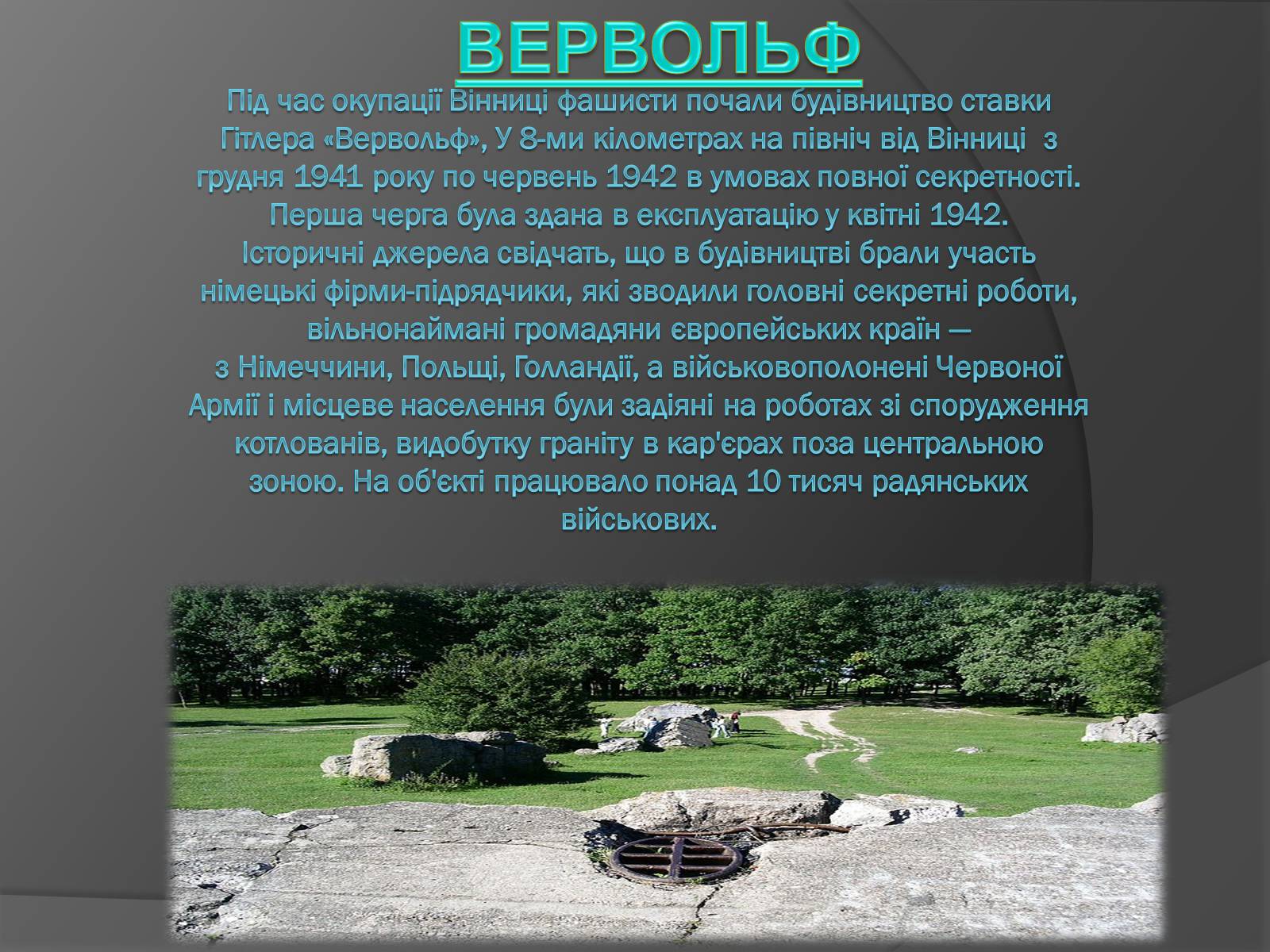 Презентація на тему «Велика Вітчизняна війна» (варіант 3) - Слайд #4 Презентація на тему «Велика Вітчизняна війна» (варіант 3) - Слайд #4
