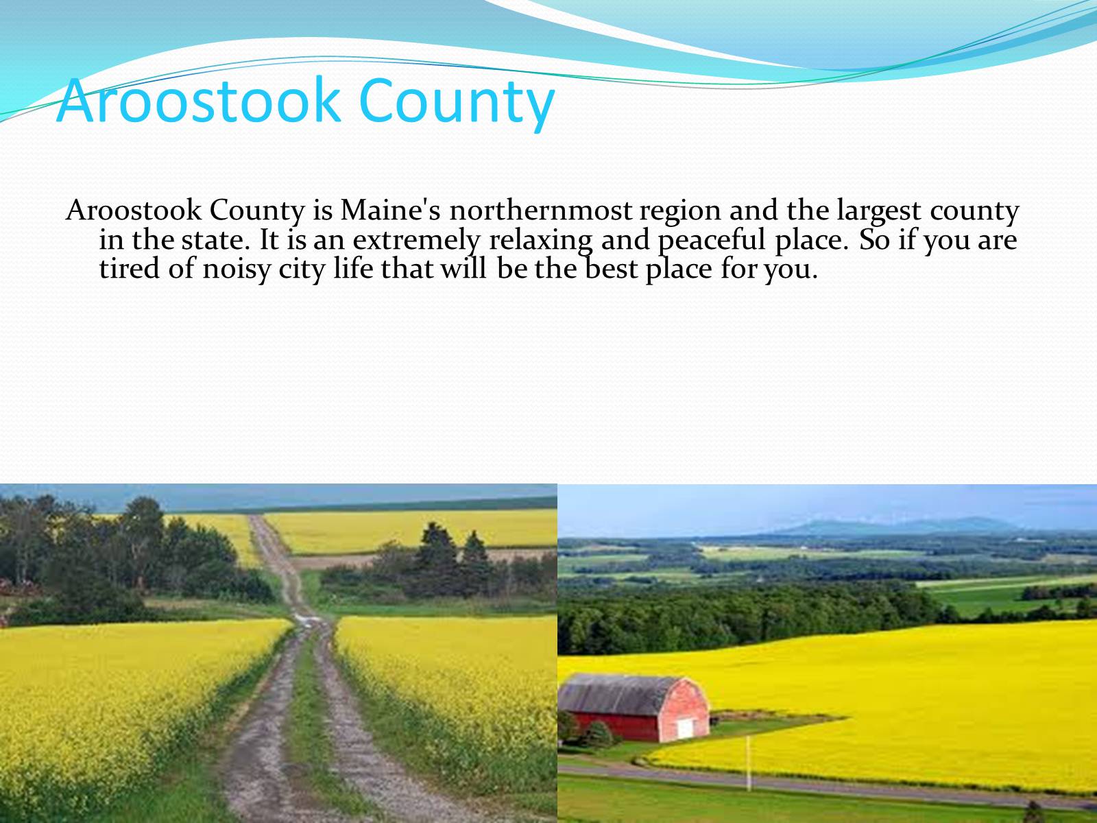 Презентація на тему «Welcome to Maine!!!» - Слайд #8 Презентація на тему «Welcome to Maine!!!» - Слайд #8