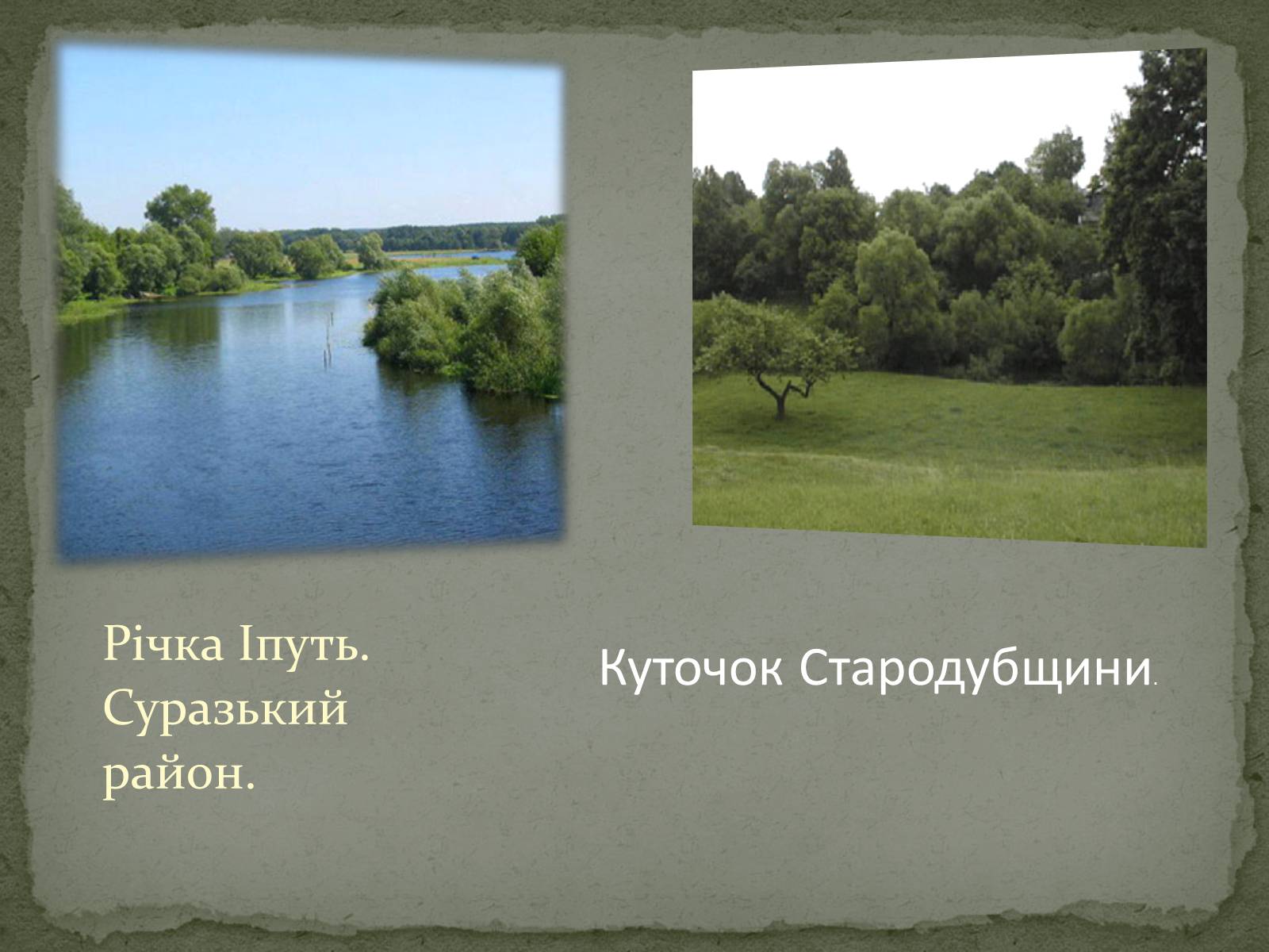 Презентація на тему «Історичні землі України» - Слайд #14 Презентація на тему «Історичні землі України» - Слайд #14