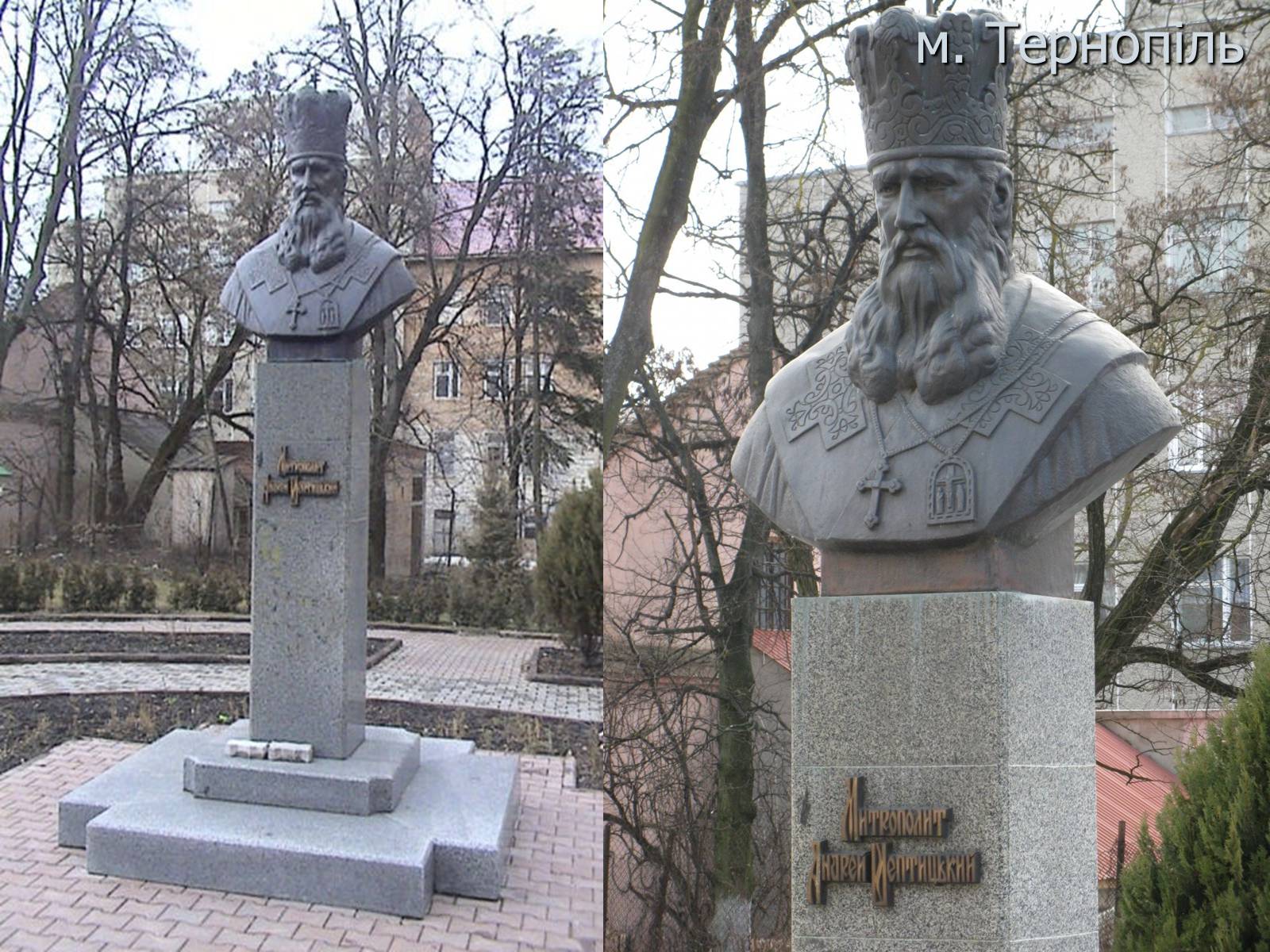 Презентація на тему «Андрій Шептицький» (варіант 1) - Слайд #13 Презентація на тему «Андрій Шептицький» (варіант 1) - Слайд #13