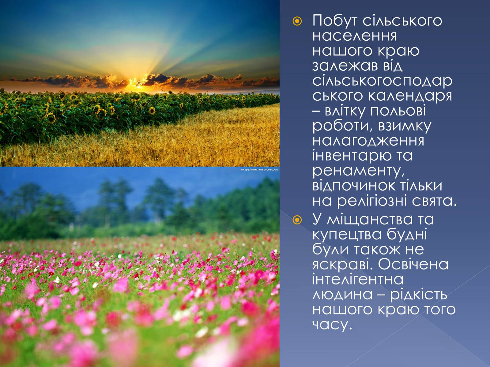 Презентація на тему «Освіта, наука та побутово-традиційна культура Запорізького краю другої половини ХІХ століття» - Слайд #9 Презентація на тему «Освіта, наука та побутово-традиційна культура Запорізького краю другої половини ХІХ століття» - Слайд #9
