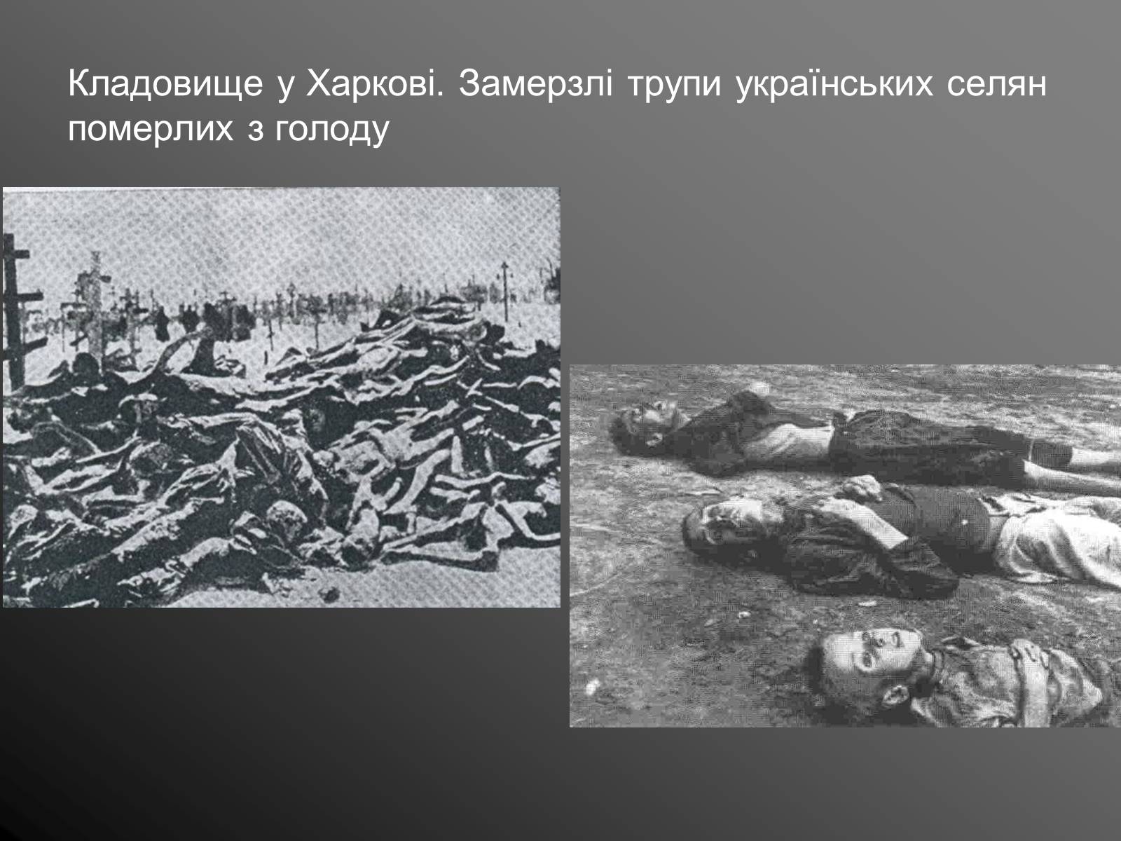 Презентація на тему «Голодомор» (варіант 11) - Слайд #9 Презентація на тему «Голодомор» (варіант 11) - Слайд #9