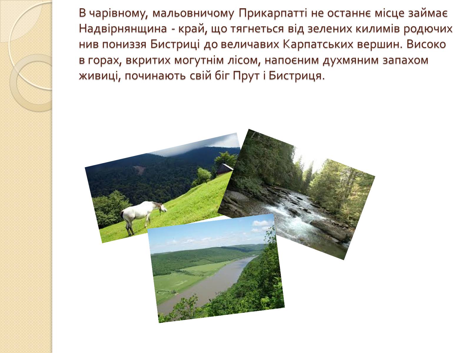 Презентація на тему «Господарське життя: особливості розвитку ринкових відносин у сільському господарстві Надвірнянщини в ІІ полов. ХІХст.»» - Слайд #3 Презентація на тему «Господарське життя: особливості розвитку ринкових відносин у сільському господарстві Надвірнянщини в ІІ полов. ХІХст.»» - Слайд #3