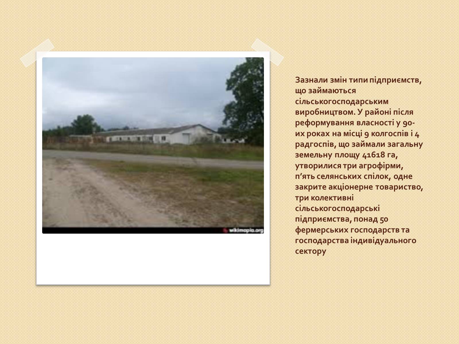 Презентація на тему «Господарське життя: особливості розвитку ринкових відносин у сільському господарстві Надвірнянщини в ІІ полов. ХІХст.»» - Слайд #6 Презентація на тему «Господарське життя: особливості розвитку ринкових відносин у сільському господарстві Надвірнянщини в ІІ полов. ХІХст.»» - Слайд #6