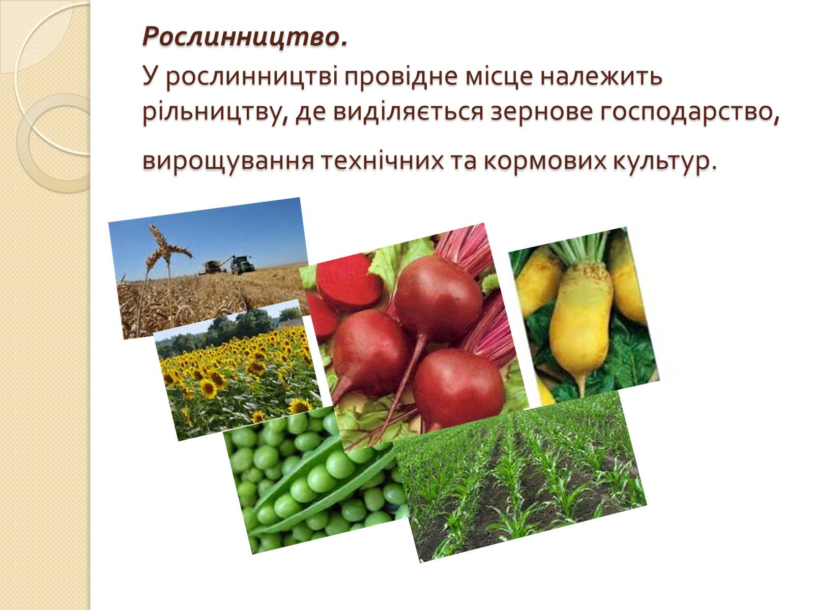 Презентація на тему «Господарське життя: особливості розвитку ринкових відносин у сільському господарстві Надвірнянщини в ІІ полов. ХІХст.»» - Слайд #8 Презентація на тему «Господарське життя: особливості розвитку ринкових відносин у сільському господарстві Надвірнянщини в ІІ полов. ХІХст.»» - Слайд #8