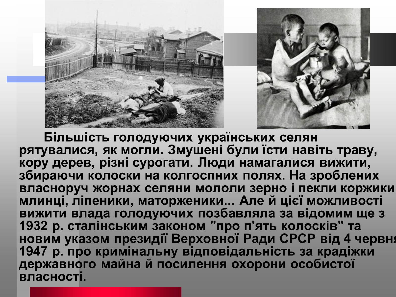 Презентація на тему «Голодомор» (варіант 10) - Слайд #8 Презентація на тему «Голодомор» (варіант 10) - Слайд #8