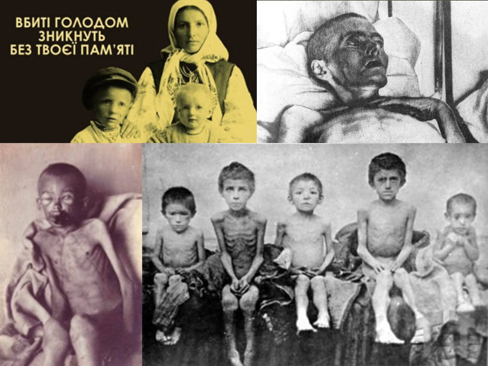 Презентація на тему «Голодомор в Білій Церкві в 1921-1923рр.» - Слайд #13 Презентація на тему «Голодомор в Білій Церкві в 1921-1923рр.» - Слайд #13