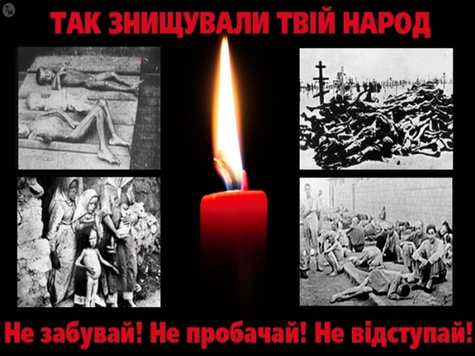 Презентація на тему «Голодомор в Білій Церкві в 1921-1923рр.» - Слайд #14 Презентація на тему «Голодомор в Білій Церкві в 1921-1923рр.» - Слайд #14