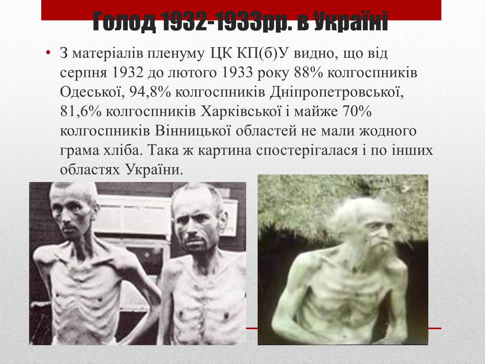 Презентація на тему «80 років Голодомору в Україні» - Слайд #10 Презентація на тему «80 років Голодомору в Україні» - Слайд #10