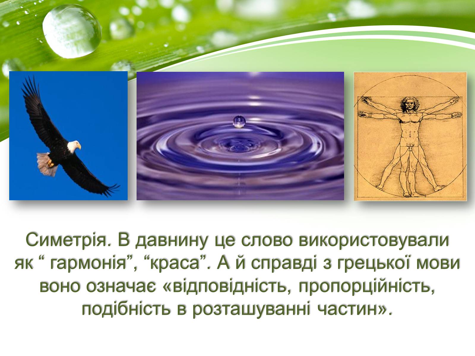 Презентація на тему «Симетрія в природі» - Слайд #2 Презентація на тему «Симетрія в природі» - Слайд #2