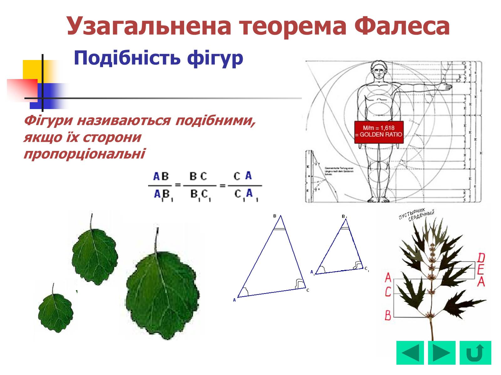 Презентація на тему «Геометрія для 8 класу» - Слайд #40 Презентація на тему «Геометрія для 8 класу» - Слайд #40
