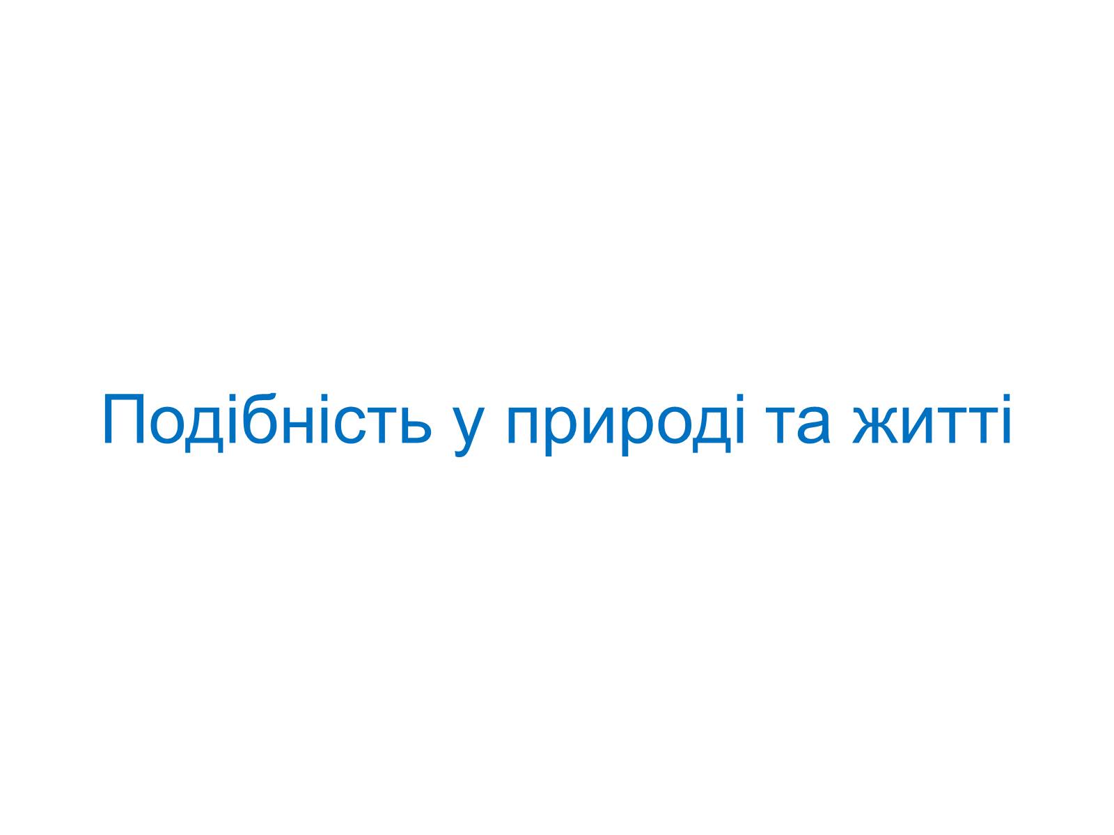 Презентація на тему «Подібність Трикутників у нашому житті» - Слайд #11 Презентація на тему «Подібність Трикутників у нашому житті» - Слайд #11