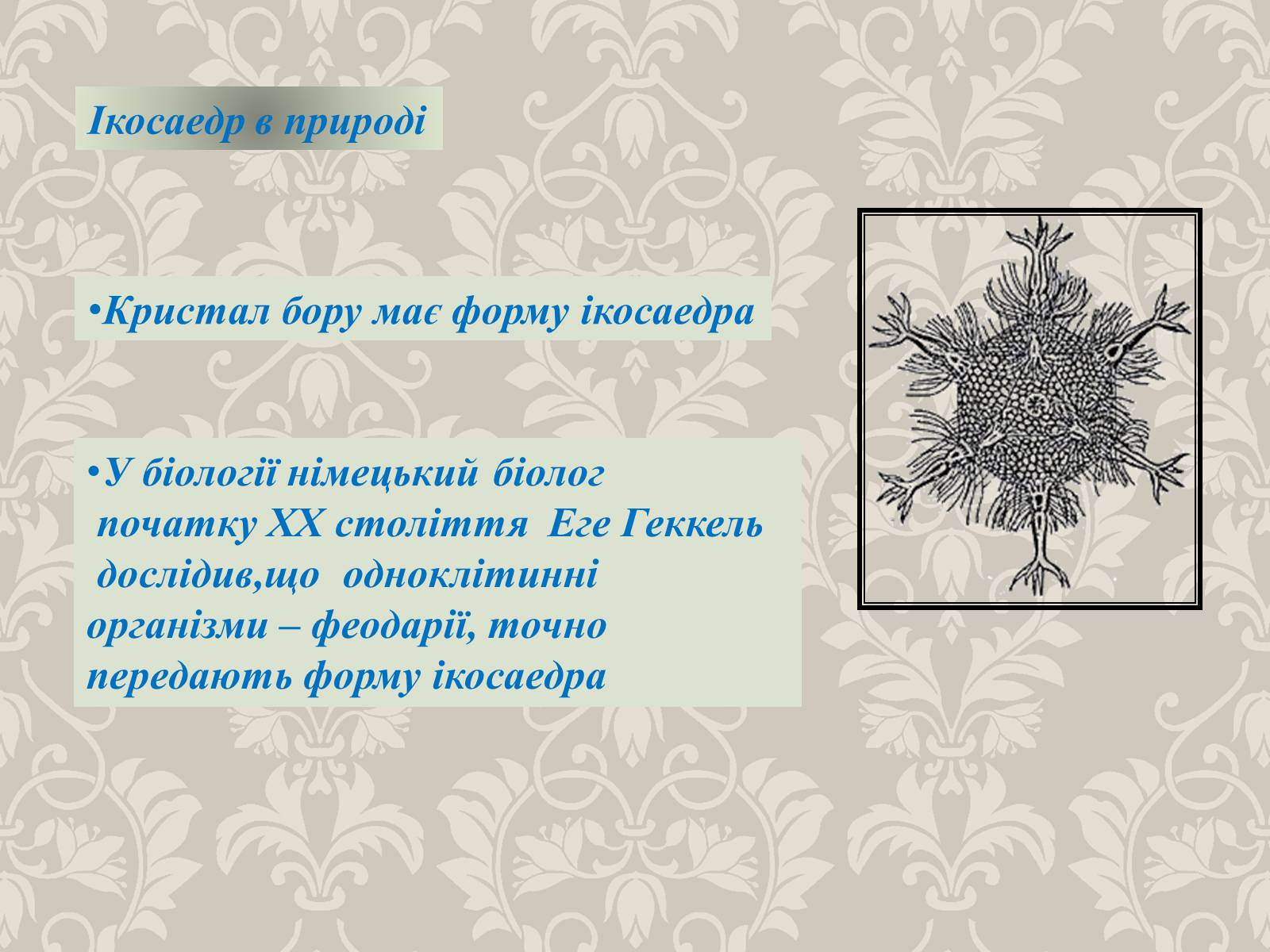 Презентація на тему «Правильні многогранники» (варіант 4) - Слайд #10 Презентація на тему «Правильні многогранники» (варіант 4) - Слайд #10