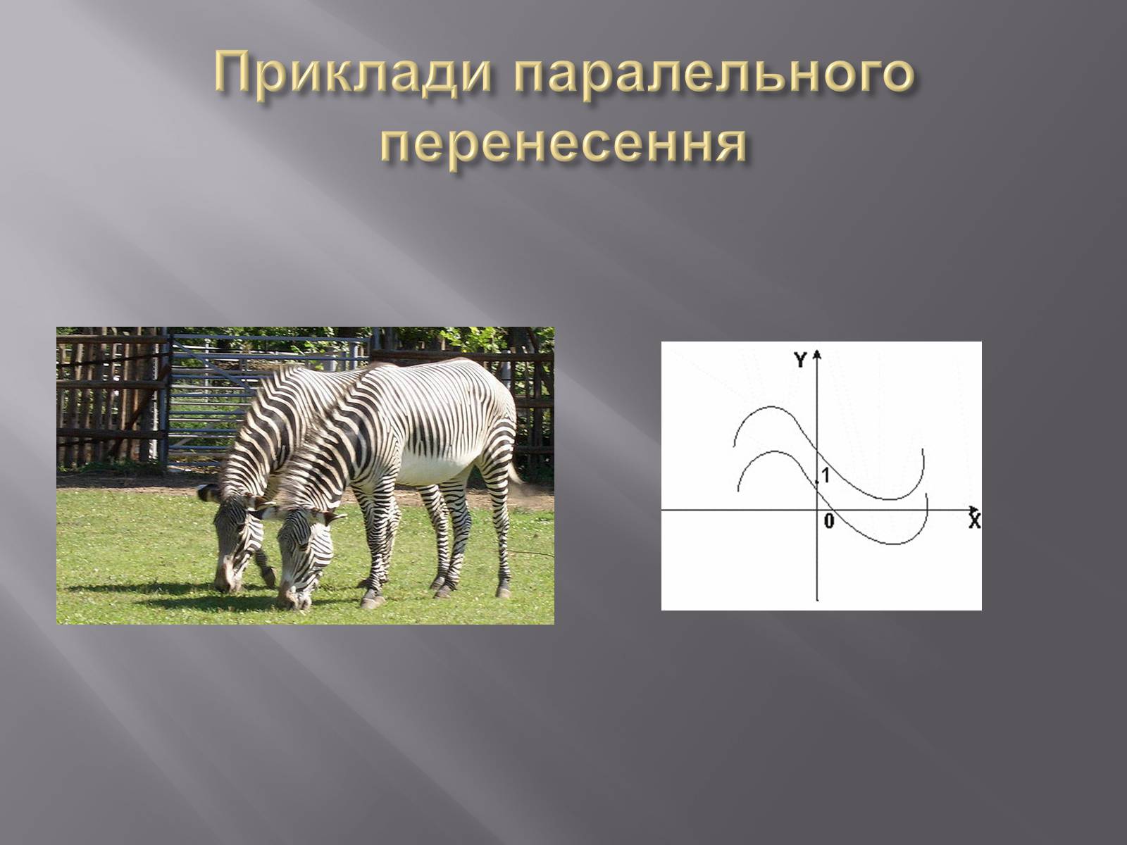 Презентація на тему «Геометричні перетворення» (варіант 1) - Слайд #11 Презентація на тему «Геометричні перетворення» (варіант 1) - Слайд #11