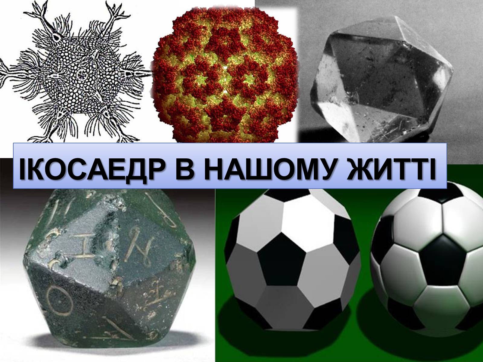 Презентація на тему «Ікосаедр» (варіант 1) - Слайд #9 Презентація на тему «Ікосаедр» (варіант 1) - Слайд #9
