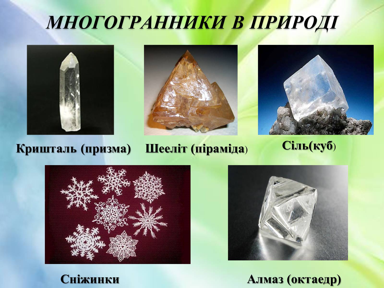 Презентація на тему «Многогранники в природі» - Слайд #4 Презентація на тему «Многогранники в природі» - Слайд #4