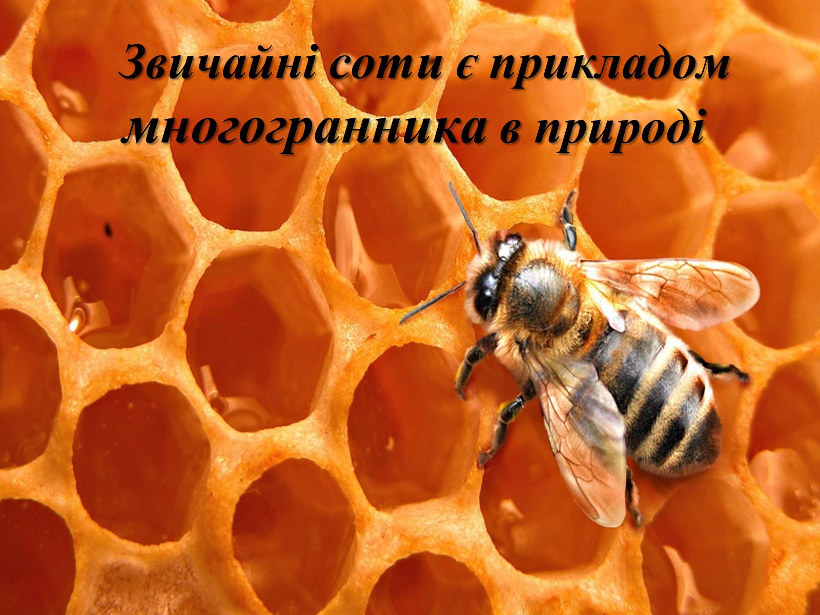 Презентація на тему «Многогранники в природі» - Слайд #6 Презентація на тему «Многогранники в природі» - Слайд #6