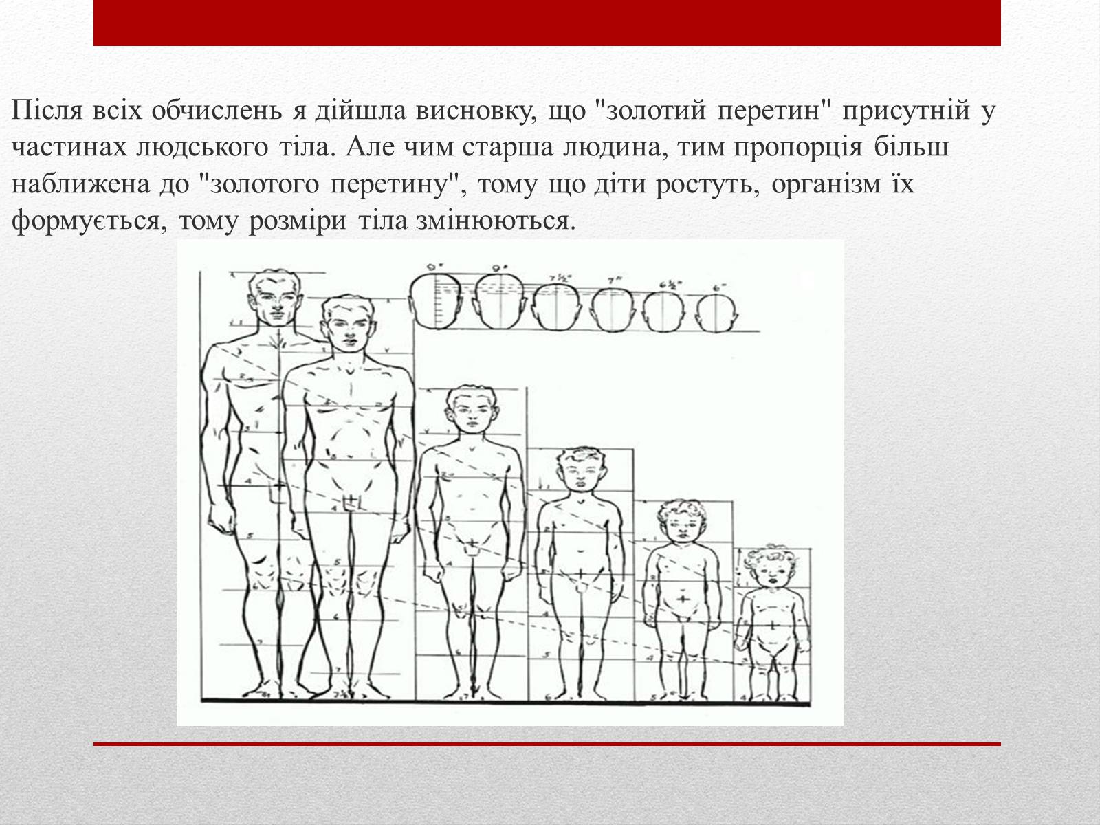Презентація на тему «Золотий переріз» - Слайд #14 Презентація на тему «Золотий переріз» - Слайд #14