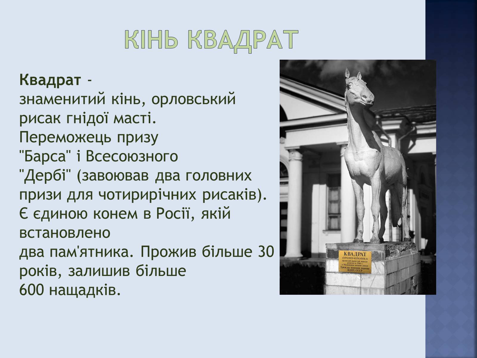 Презентація на тему «Квадрат» - Слайд #11 Презентація на тему «Квадрат» - Слайд #11