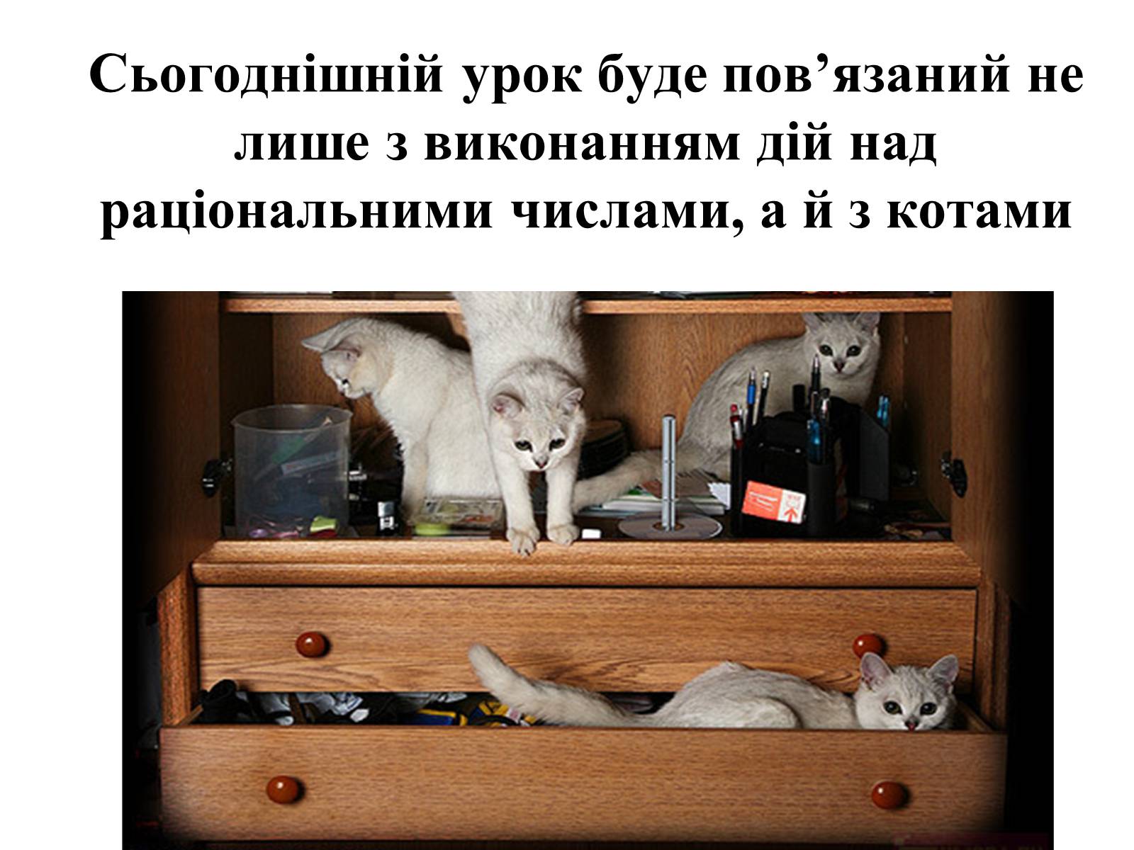 Презентація на тему «Множення раціональних чисел» - Слайд #12 Презентація на тему «Множення раціональних чисел» - Слайд #12