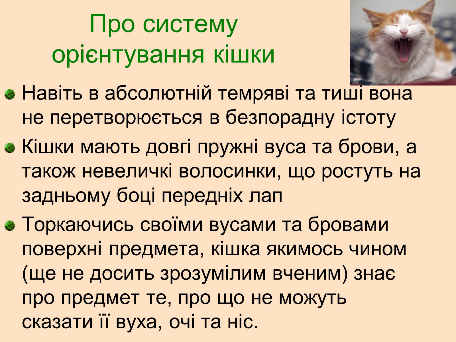 Презентація на тему «Множення раціональних чисел» - Слайд #17 Презентація на тему «Множення раціональних чисел» - Слайд #17