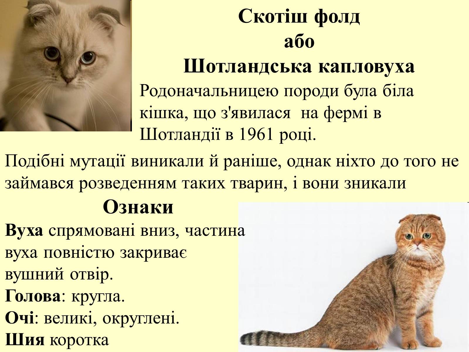 Презентація на тему «Множення раціональних чисел» - Слайд #20 Презентація на тему «Множення раціональних чисел» - Слайд #20