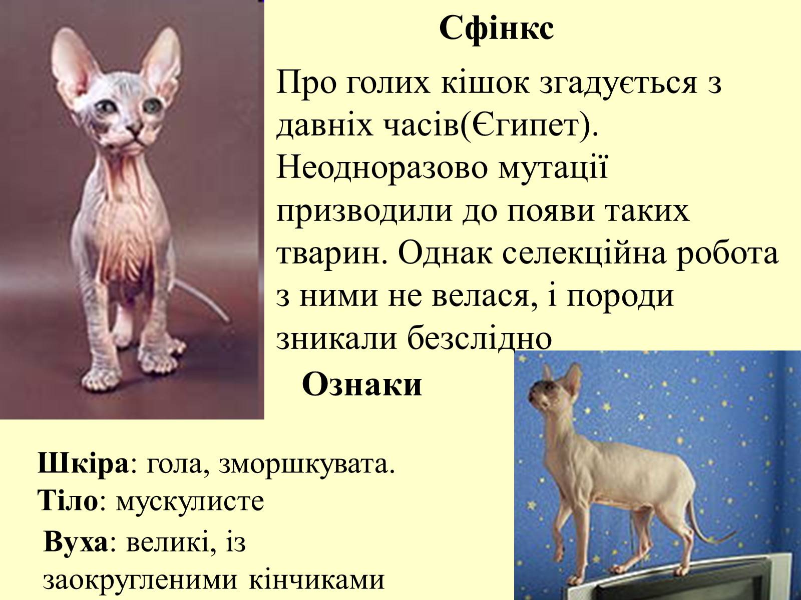 Презентація на тему «Множення раціональних чисел» - Слайд #22 Презентація на тему «Множення раціональних чисел» - Слайд #22