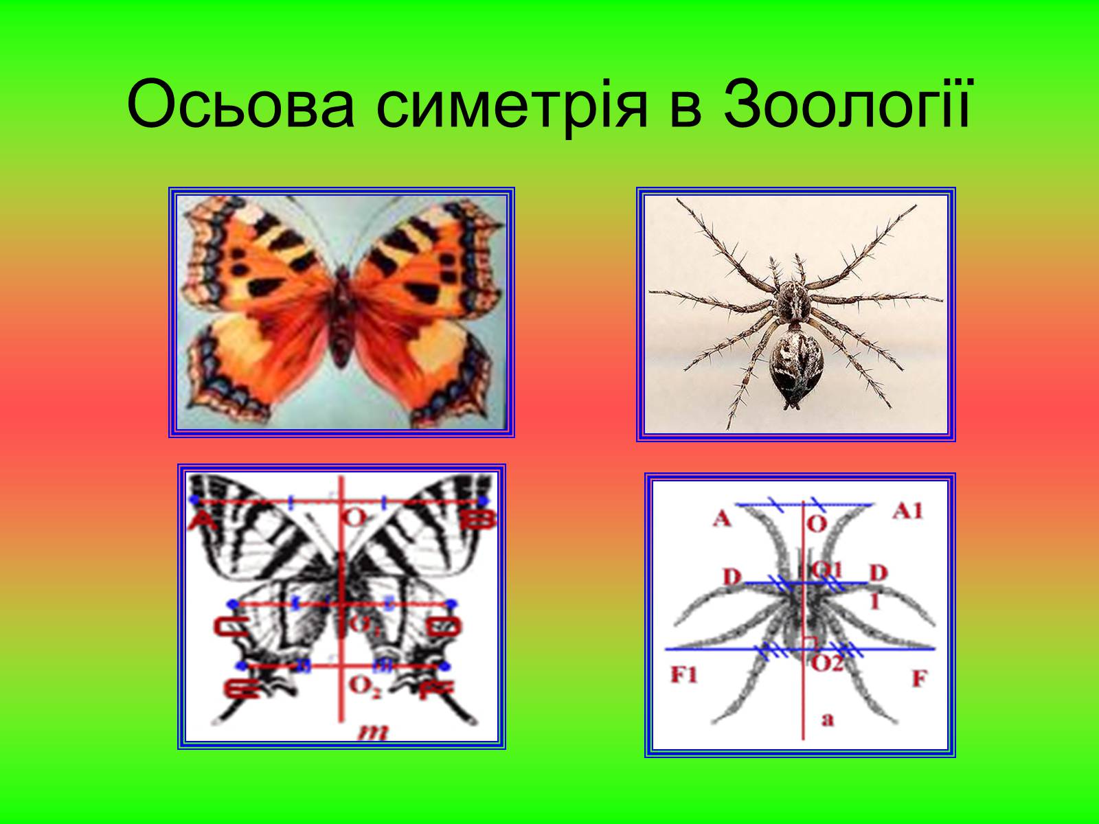 Презентація на тему «Симетрія» (варіант 2) - Слайд #8 Презентація на тему «Симетрія» (варіант 2) - Слайд #8