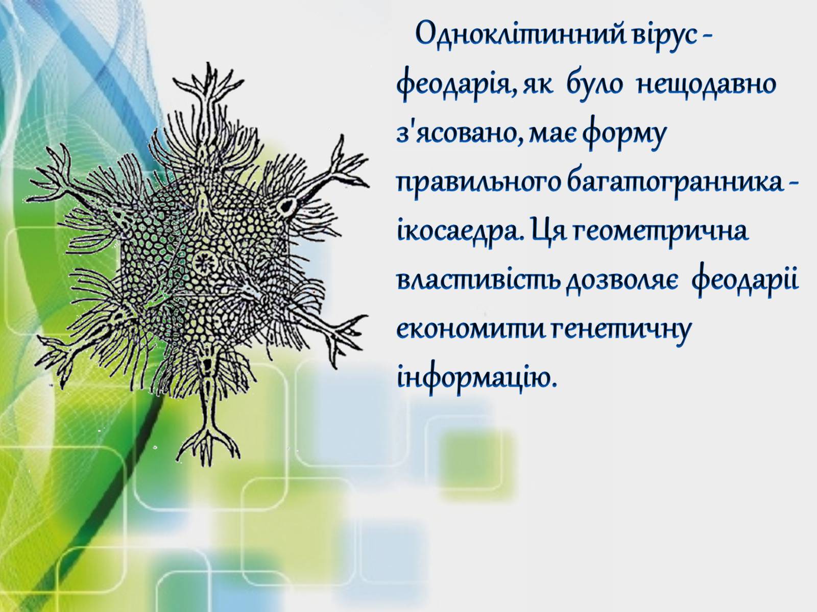 Презентація на тему «Застосування многранників у житті» - Слайд #10 Презентація на тему «Застосування многранників у житті» - Слайд #10