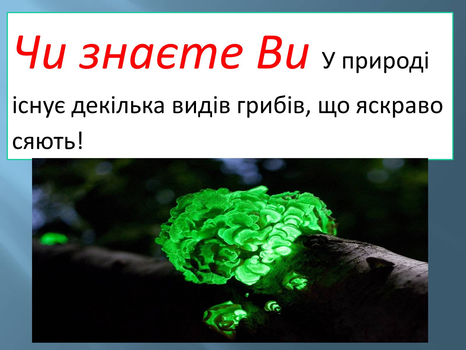 Презентація на тему «Геометрична оптика» - Слайд #36 Презентація на тему «Геометрична оптика» - Слайд #36