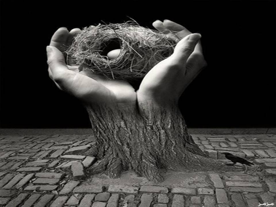 Презентація на тему «Jerry Uelsmann» - Слайд #11 Презентація на тему «Jerry Uelsmann» - Слайд #11